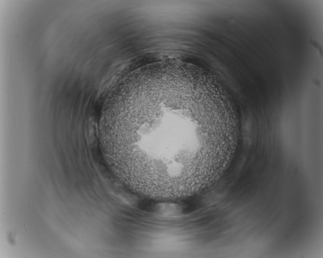 X0000103490169200809261958