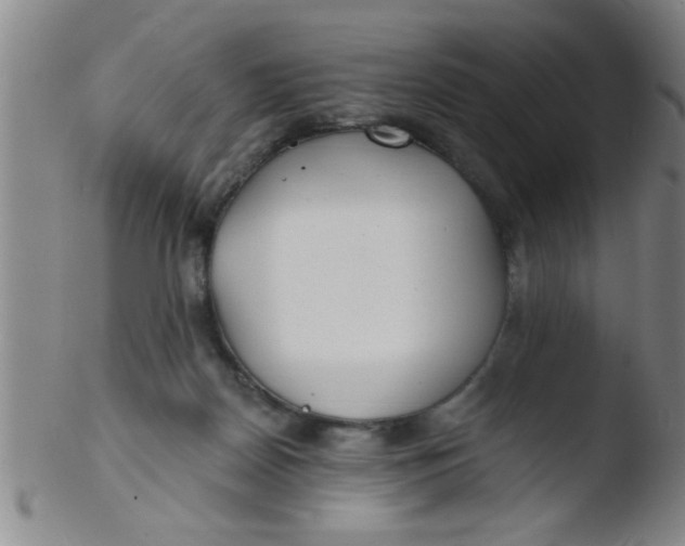 X0000103490170200809261958