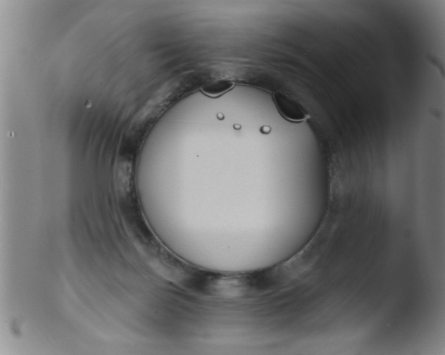 X0000103490171200809261958