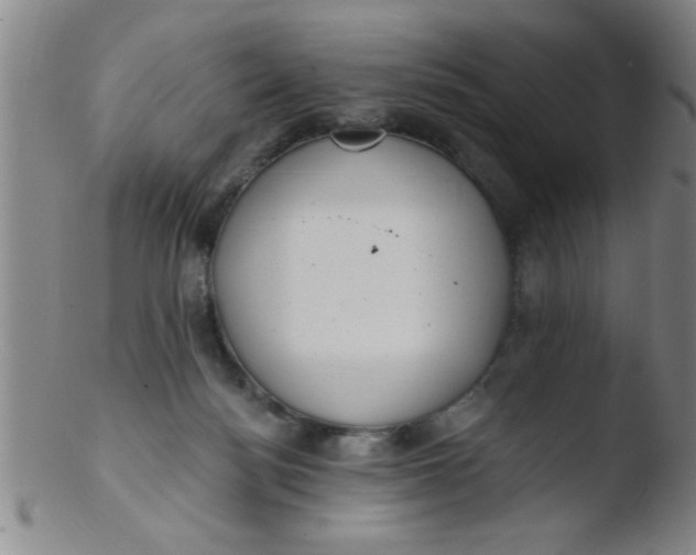 X0000103490172200809261958