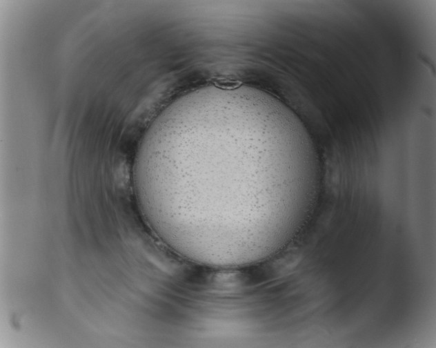 X0000103490173200809261958