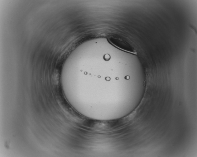 X0000103490174200809261958