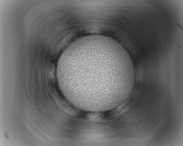 X0000103490175200809261958