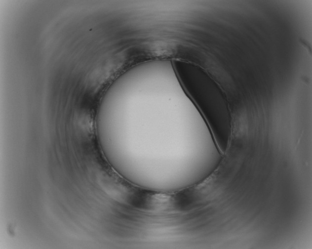 X0000103490176200809261958