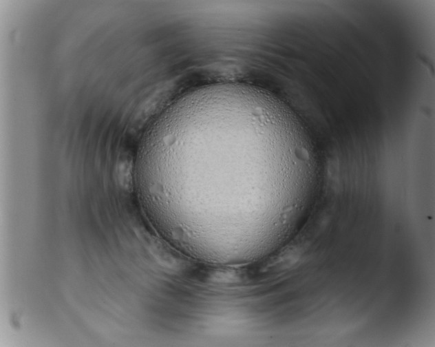 X0000103490177200809261958