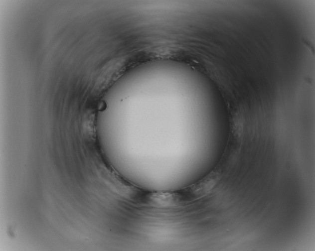 X0000103490181200809261958