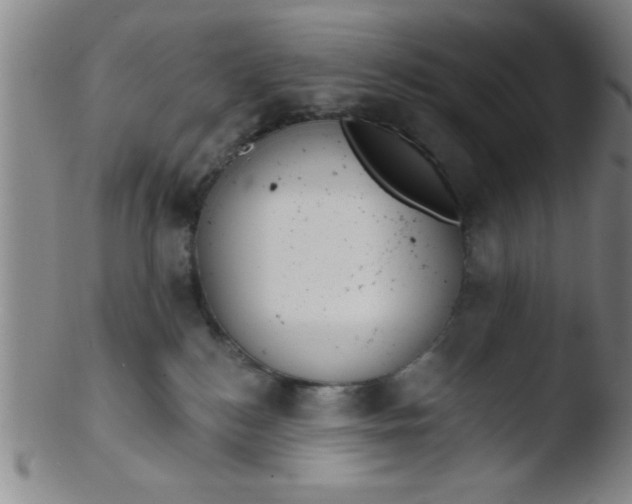 X0000103490184200809261958