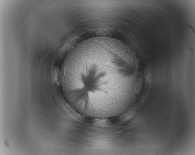 X0000103490185200809261958