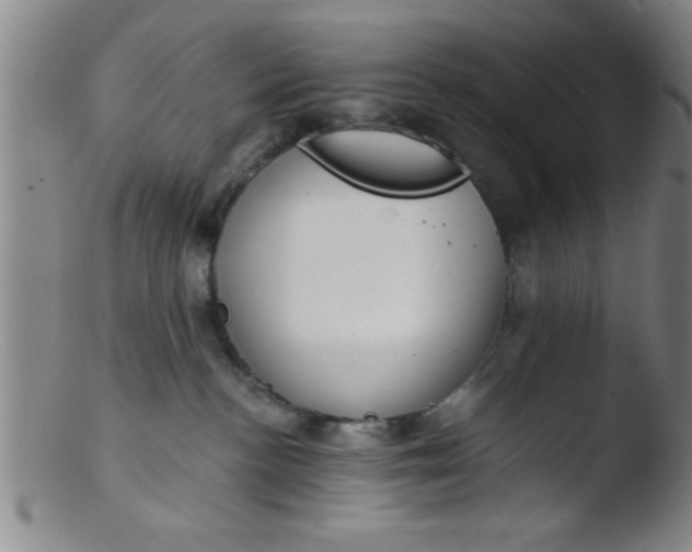 X0000103490188200809261958