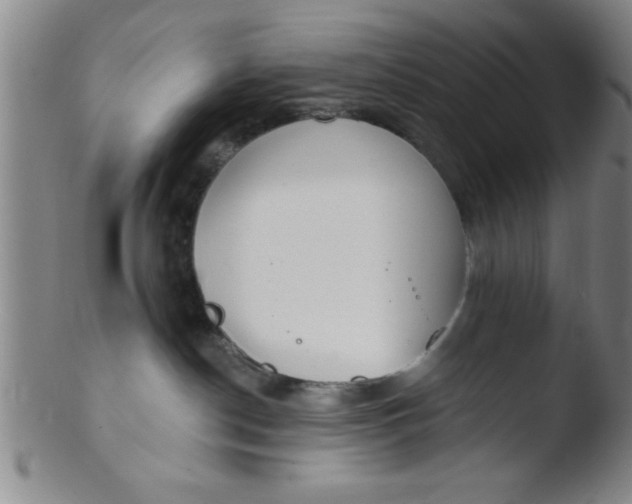 X0000103490190200809261959