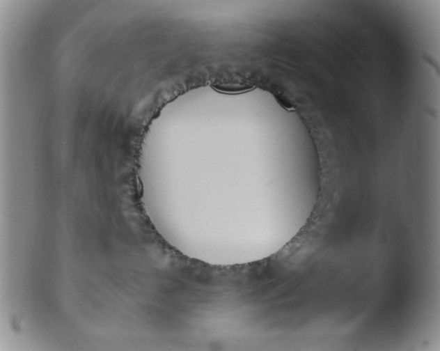 X0000103490192200809261959