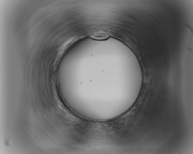 X0000103490193200809261958