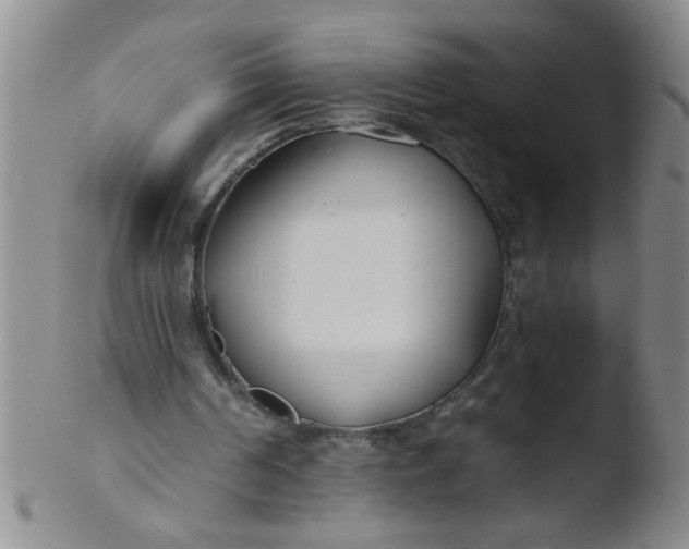 X0000103490194200809261958