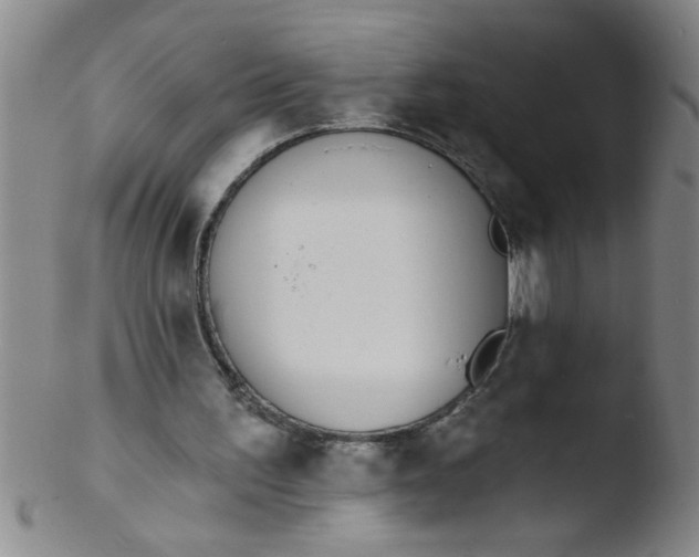 X0000103490195200809261958