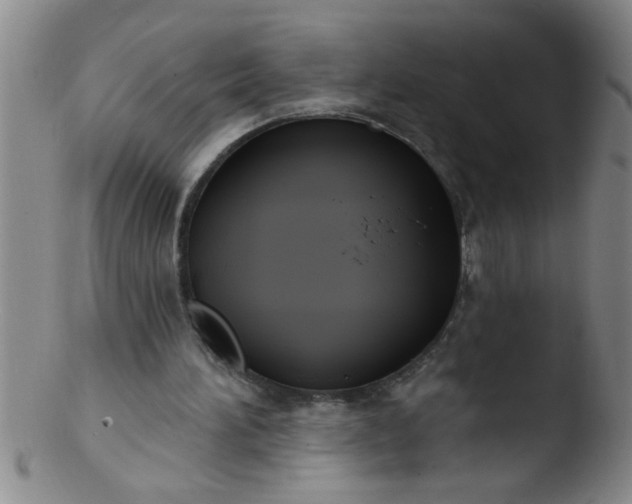 X0000103490196200809261958