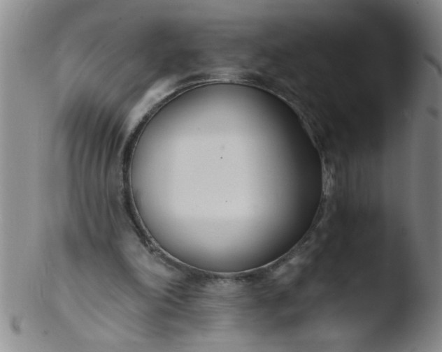 X0000103490198200809261958