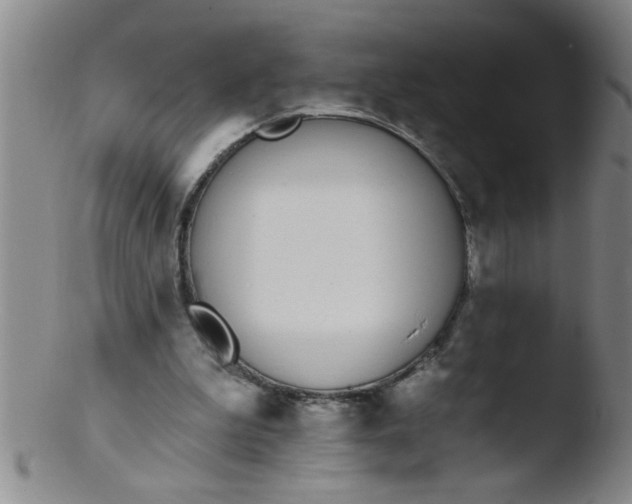 X0000103490199200809261958