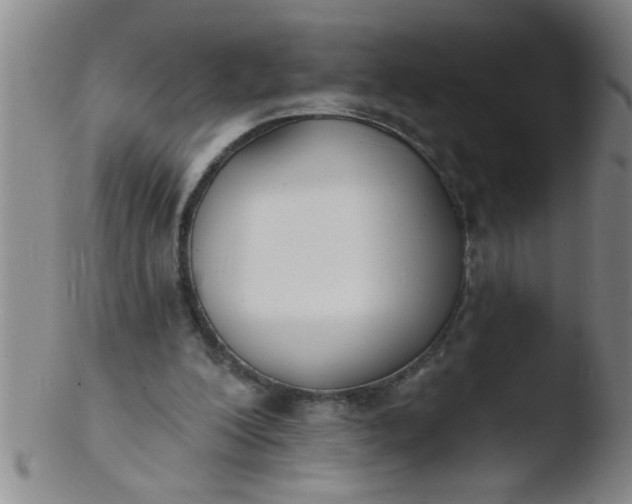 X0000103490200200809261958