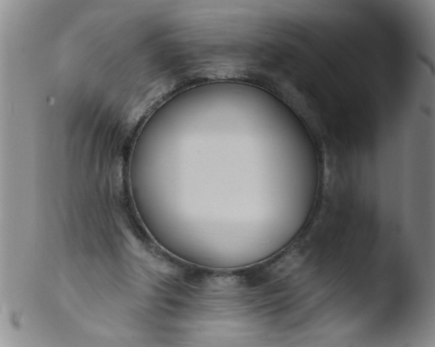 X0000103490202200809261958