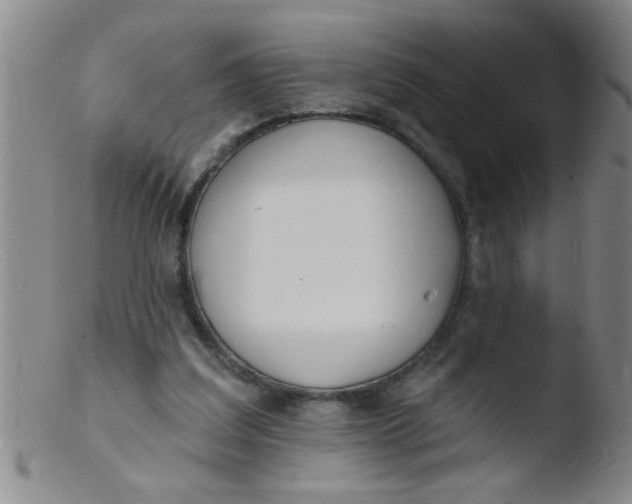 X0000103490203200809261958