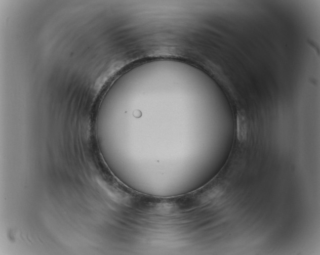 X0000103490204200809261958