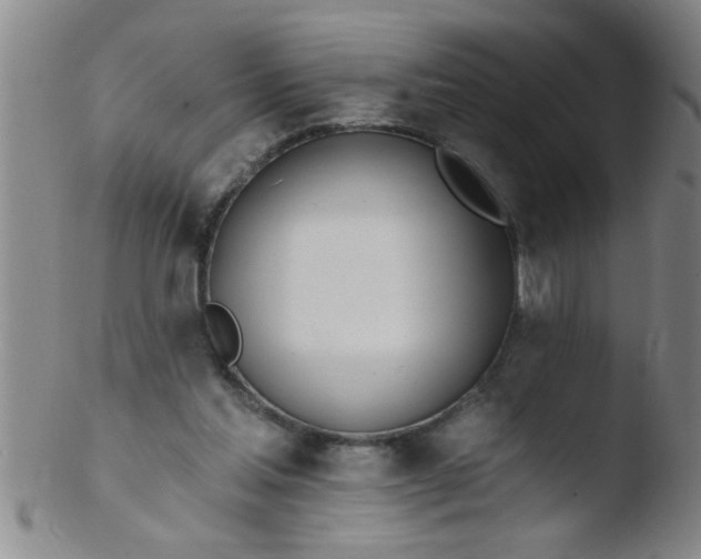 X0000103490205200809261958