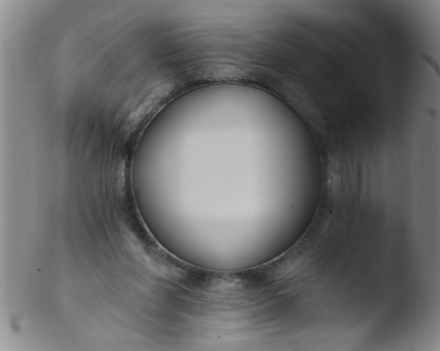 X0000103490206200809261958