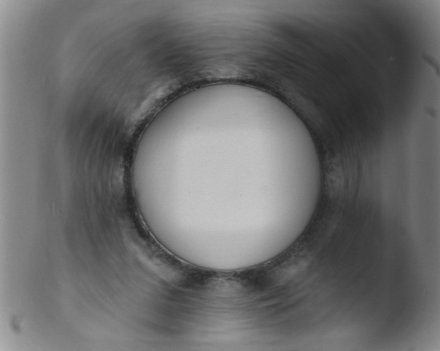 X0000103490207200809261958