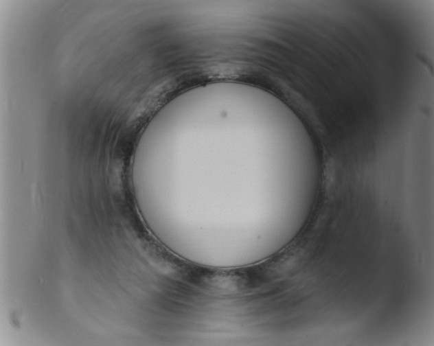 X0000103490209200809261958