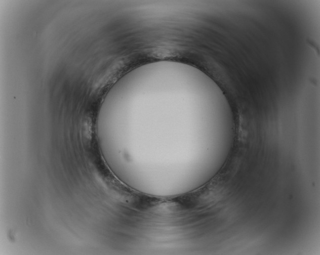 X0000103490210200809261958