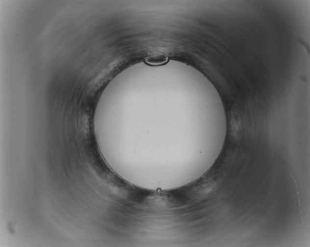 X0000103490211200809261958