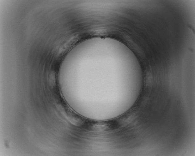 X0000103490213200809261958