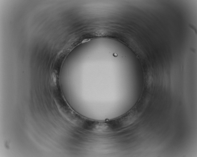 X0000103490214200809261958