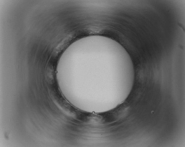 X0000103490215200809261958