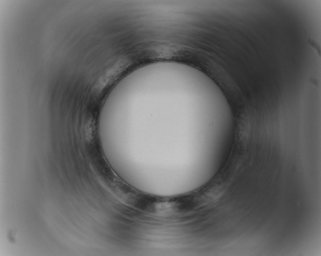 X0000103490216200809261958