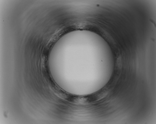 X0000103490217200809261958