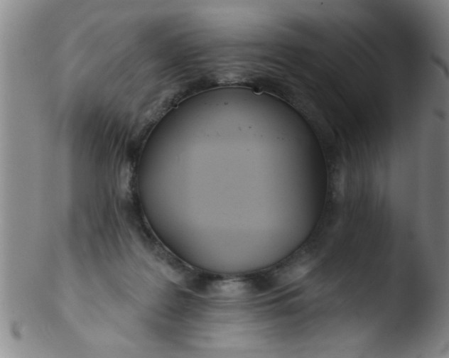 X0000103490219200809261958