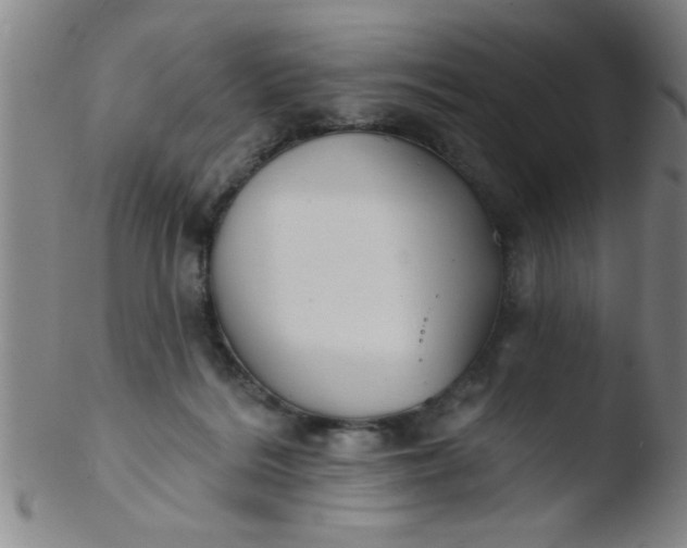 X0000103490220200809261958