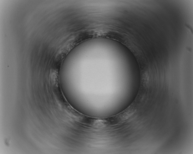 X0000103490222200809261957