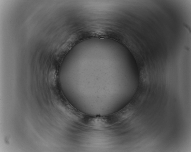 X0000103490223200809261957