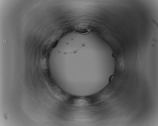 X0000103490224200809261957