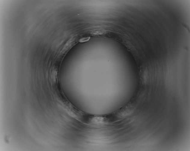 X0000103490227200809261957