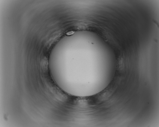 X0000103490228200809261957