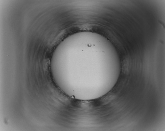 X0000103490229200809261957