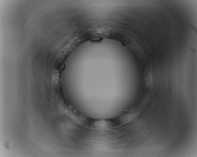 X0000103490231200809261957