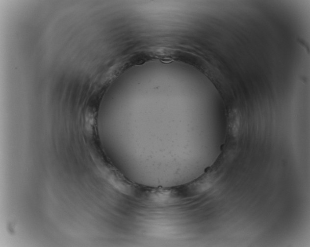 X0000103490235200809261957