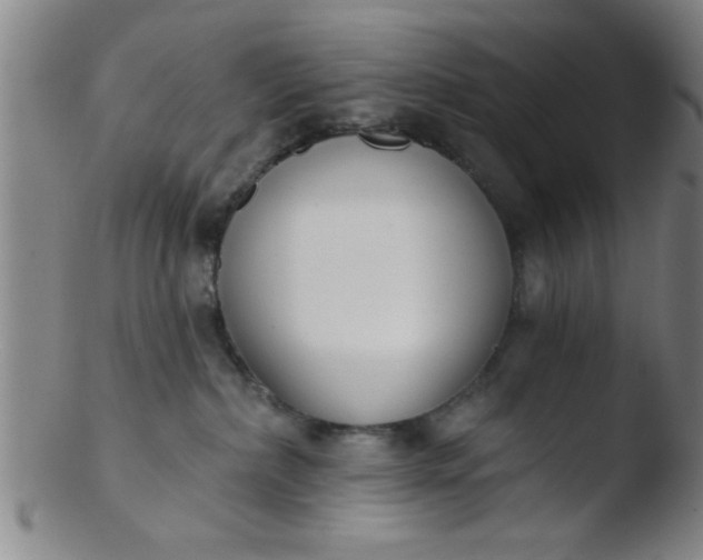 X0000103490236200809261957