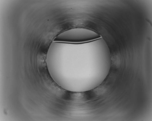 X0000103490237200809261957