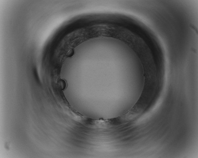 X0000103490239200809261957