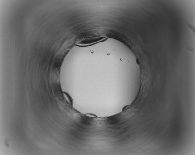 X0000103490240200809261957